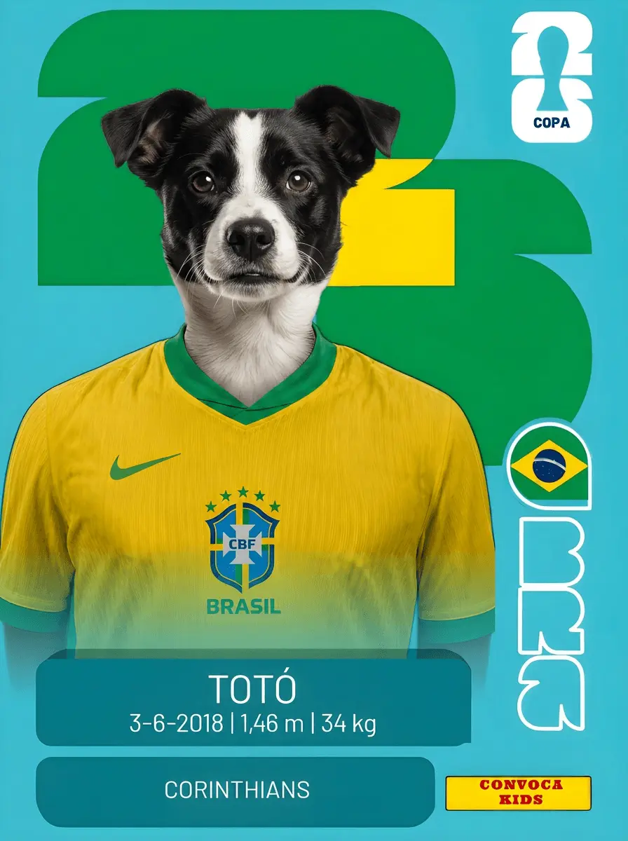 Figurinha exemplo