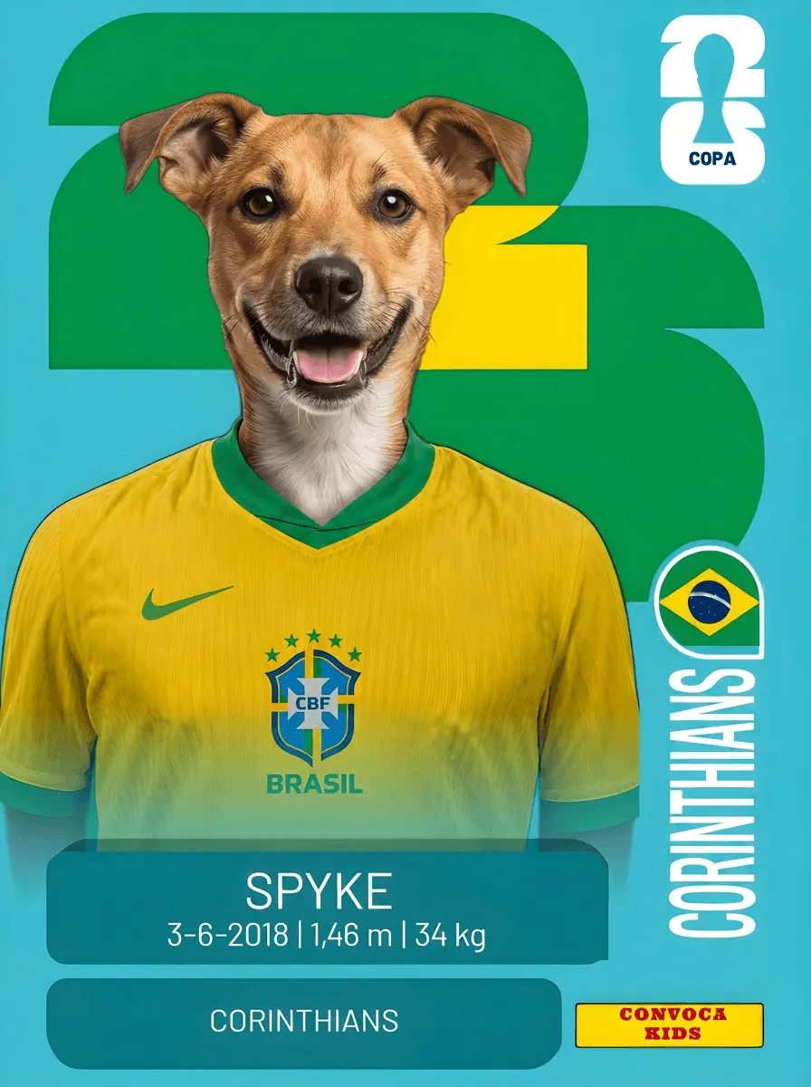 Figurinha exemplo